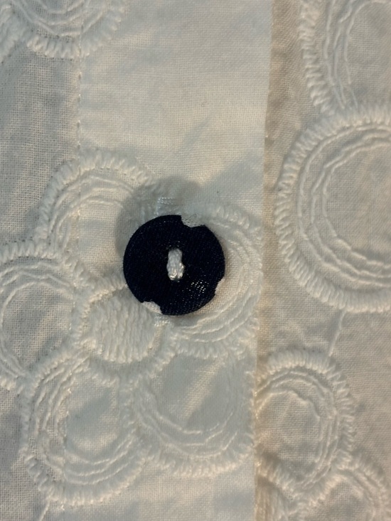 Cotton Eyelet Lace Peter Pan Collar Button-Up Blouse - Picture 11 of 14